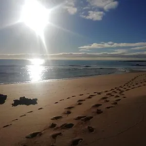 https://piso-el-jardin.in-canary-islands.com